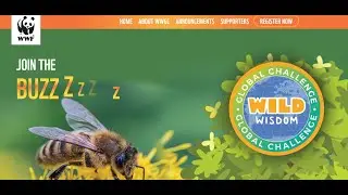 WILD WISDOM GLOBAL CHALLENGE ( WWF - INDIA )