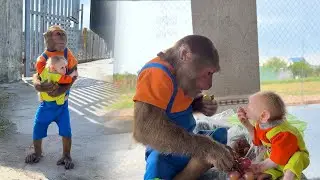 Naughty Monkey CUTIS Secret Enjoy Mom's Fruit in the Most Special Funny Way!