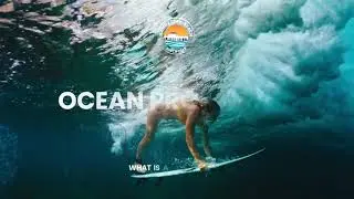 Ocean Protection: What is Watershed? (Part Two)