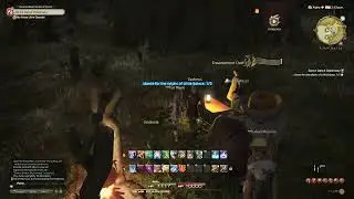Final Fantasy XIV Dance Dance Diplomacy