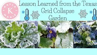 Lessons Learned from the Texas Grid Collapse | Garden Freeze