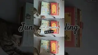 junk journal with me! #journal #artjournal #junkjournal