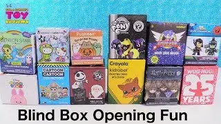 Pusheen Disney Tokidoki MLP Harry Potter Blind Box Figure Palooza Opening | PSToyReviews