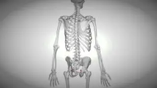 New center advances biomedical and brain imaging