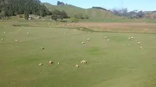 Mainline Steam Heritage (4-8-2) New Zealand 🇳🇿