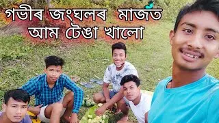 গভীৰ জংঘলৰ মাজত আম টেঙা খালো 😋😋//AssameseVloger//#bhaskarhukai