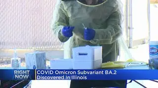 COVID Omicron Subvariant BA.2 Discovered In Illinois