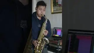 Just the two of us (saxophone cover)
