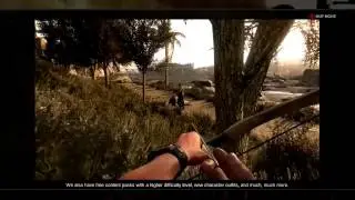 Dying Light developer message