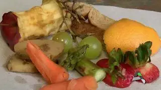 Food Waste Diversion