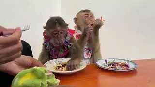 Stir-fry with extra cuteness. #MonkeyChef #HomeVibes