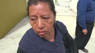 Mexico: 130 politicians killed ahead of elections