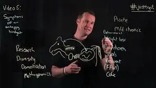 Being brilliant at the basics video 5: Symptoms of an unhappy hindgut