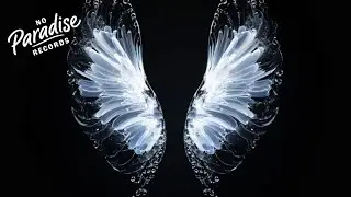 Whales - Believe