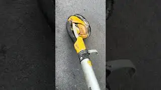 M&aacute;y ch&agrave; s&agrave;n, ch&agrave; thạch cao Dewalt DCE800 Mexico ko than cũ 0903397180