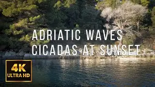 🌊 12 Hours of Adriatic Waves & Cicadas at Sunset | Coastal Ambience for Sleep & Focus | 4K UHD