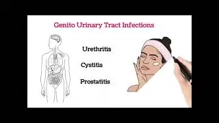 Amoxicillin Drug is Uses, side effects, dosage and precautions in English.#sbo #sbotvm #workfromhome
