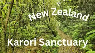 World Tour: New Zealand. S3 - SE6 (Karori Sanctuary)