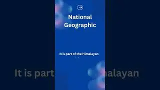 Discover the World: Exploring General Pieces of Information