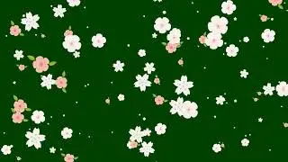 spring   green screen video #viral #viralvideo #greenscreen
