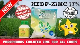 ਨਵੇਂ ਜ਼ਮਾਨੇ ਦਾ ਕਾਰਗਰ zinc 17% HEDP Zlux-P by Ramcide Crop Science 