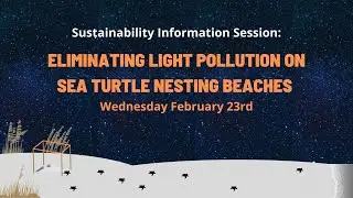 Information Session: Sea Turtle Lighting