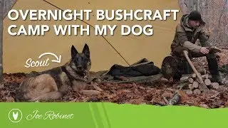 Overnight Bushcraft Camp with my Dog - WAKING UP IN THE SNOW!