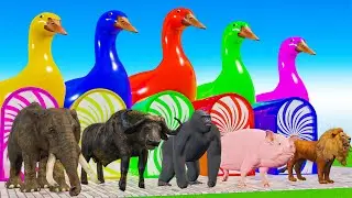 Long Slide Game With Cow Elephant Gorilla Hippopotamus Porcupine 3D Animal Game Funny 3D Animals