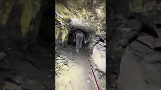 Brave man firing explosive in coal mine🥶🥶🥶#blast  #minecraft #shortvideo #shorts #