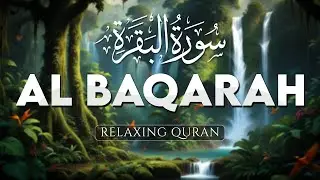 Best Stress Relief Recitation of Surah  Al Baqarah سورة البقره, Relaxing Holy Quran - ALAA AQEL