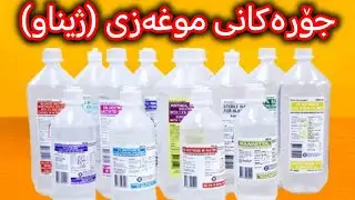 موغەزی (ژیناو) و جۆرەکانی