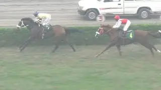 5th Race Arbab Nur M. Khan  Cup Distance 1200 Meters Winner Qaswa Princess ( Pakistan Horse Racing )