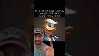 If it quacks like a duck…