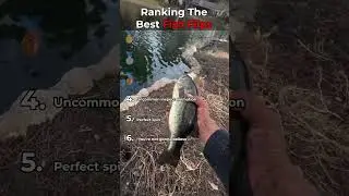 Ranking The Best Fish flips 🐟