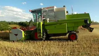 Żniwa Rzepaczane 2019☆ Pies żniwuje ?!☆GR Dzieża (Claas Dominator 150 Zetor 7340)
