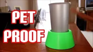 The Conester Anti Spill Coaster is Pet Proof!