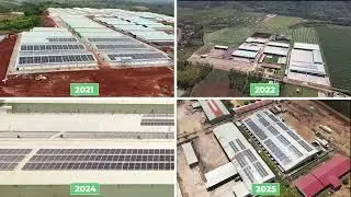 VES x HAGL | Large-Scale Solar Rooftop IPP Platform for Vietnam&rsquo;s Leading Agricultural Group .