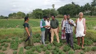 Crop booking
