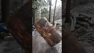 Log Metronome Pendulum