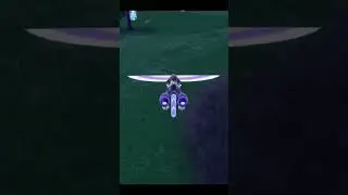 Shiny ✨ Nuzleaf found