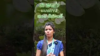 Allahabad Safeda Guava 🍈 | High Yield & Sweet Taste | Best Variety for Commercial Farming#shortsfeed