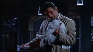 What happens when you put your cat into a particle disintegrator?
