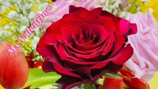 HAPPY VALENTINES DAY @dunstoppablebrosph2096  ENGLISH LOVE SONG