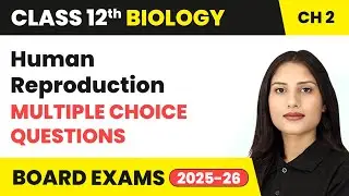 Human Reproduction - Multiple Choice Questions | Class 12 Biology Chapter 2 | CBSE 2025-26