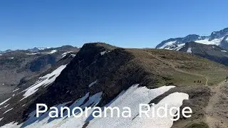 Guide to Panorama Ridge #mountains #canada #hiking #camping
