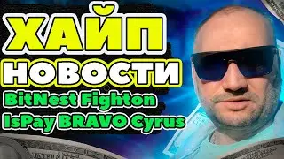 Хайп Новости BitNest, IsPay, Fighton скам, старт Bravo, Cyrus Finance обзор отзывы Хайп Проекты