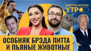 Новый дом Брэда Питта. День рождения Фредди Меркьюри. Как ухаживать за кожей? | Утро на RTVI US