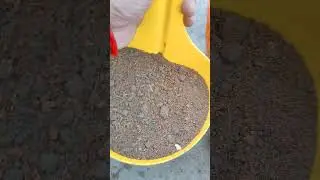 soil mix for grow  plants# soil #cocopit#compost# gardening short  #trending song#Bhole tere#