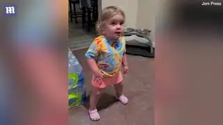 Lily didnt touch the food.