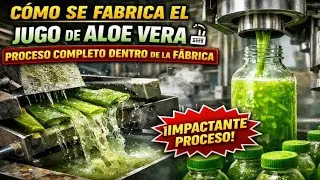 C&oacute;mo se Fabrica el Jugo de Aloe Vera 🏭 Proceso Completo Dentro de la F&aacute;brica